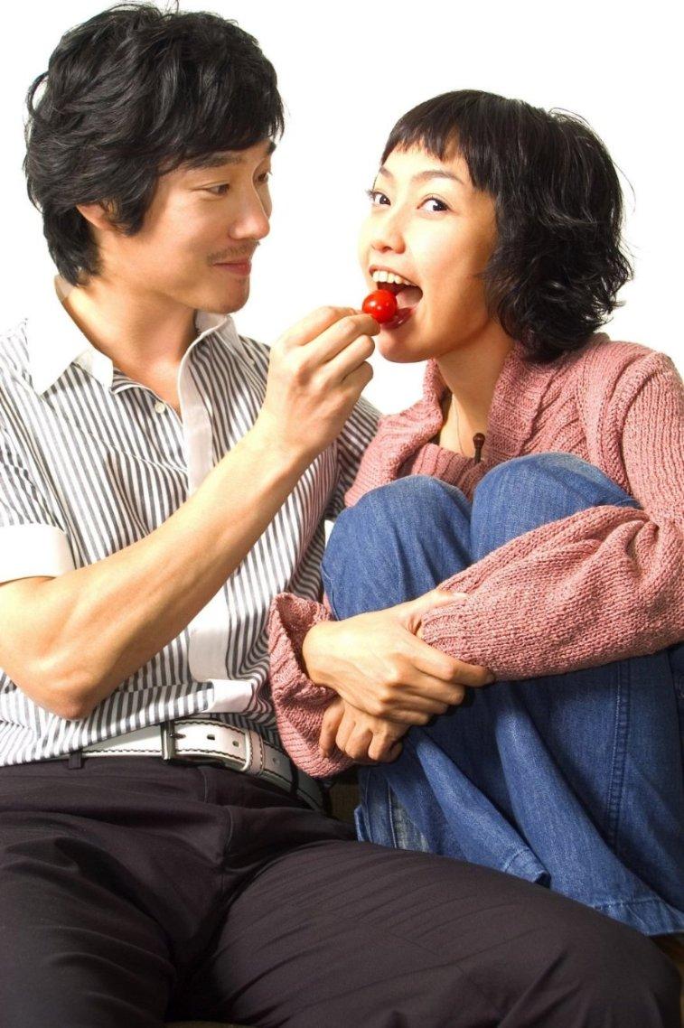有趣的动物拼图