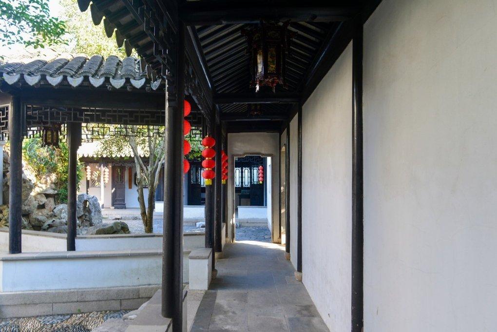 红树林逃生